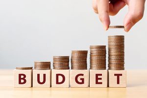 The Budget